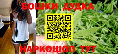 прущие грибы Конаково