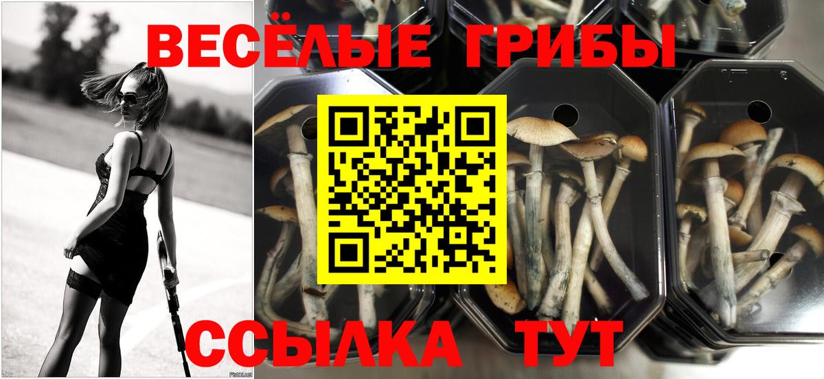 Галлюциногенные грибы ЛСД Якутск