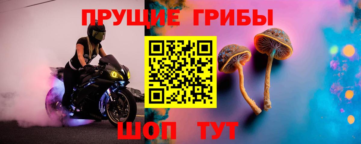 Галлюциногенные грибы Psilocybe  Псилоцибиновые грибы мухоморы  Якутск  Вход с VPN 